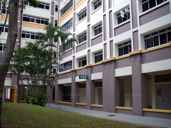 Choa Chu Kang North 6 thumbnail photo